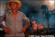 Bosbranden in het Amazonegebied