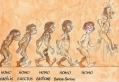 Evolutie...?
