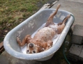 heerlijk in bad!