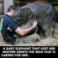 dit dier verloor zijn moeder.....