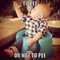 to pee or not......