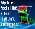 mijn leven voelt als een examen waar ik niet voor geleerd heb.....
