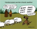 Duitse herder...